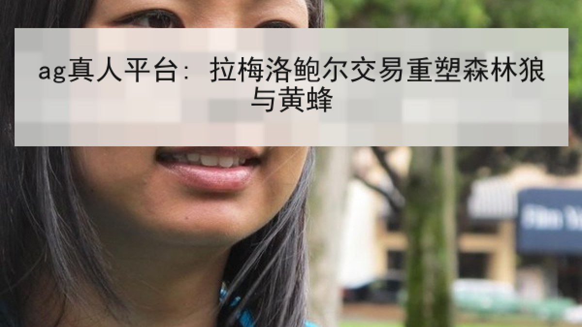 ag真人平台: 拉梅洛鲍尔交易重塑森林狼与黄蜂