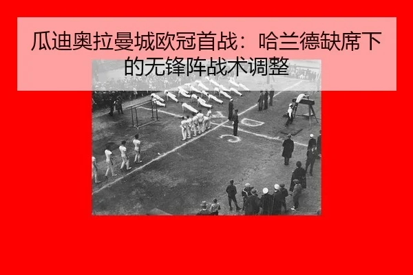 gua-di-ao-la-man-cheng-ou-guan-shou-zhan-ha-lan-de-que-xi-xia-de-wu-feng-zhen-zhan-shu-tiao-zheng-3-754.jpg